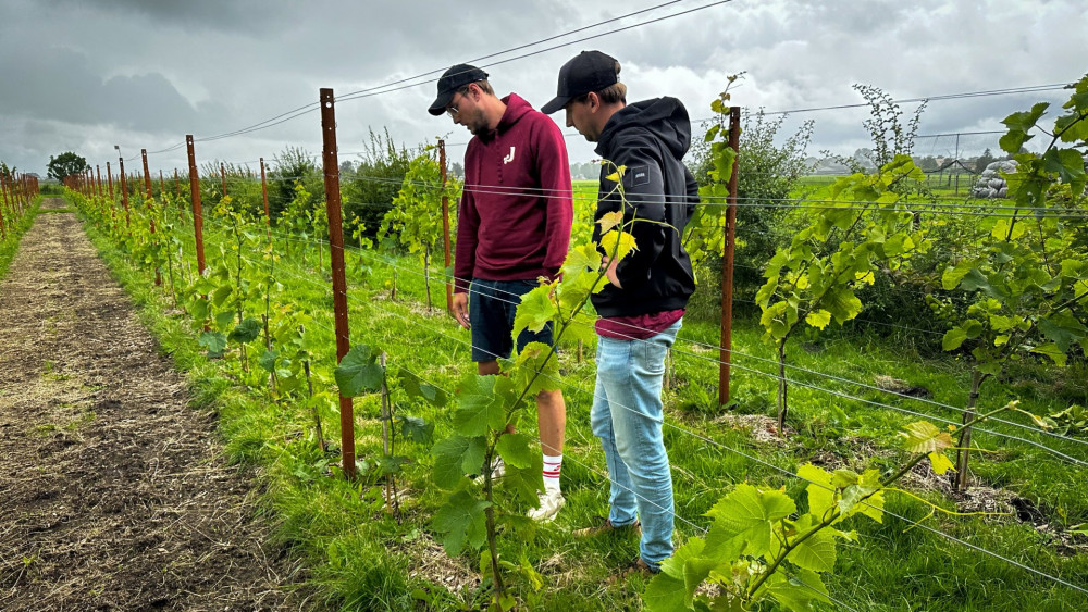 De jongens bij De Jongens