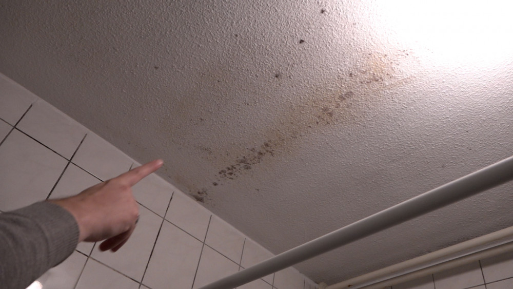 intermaris schimmelwoning