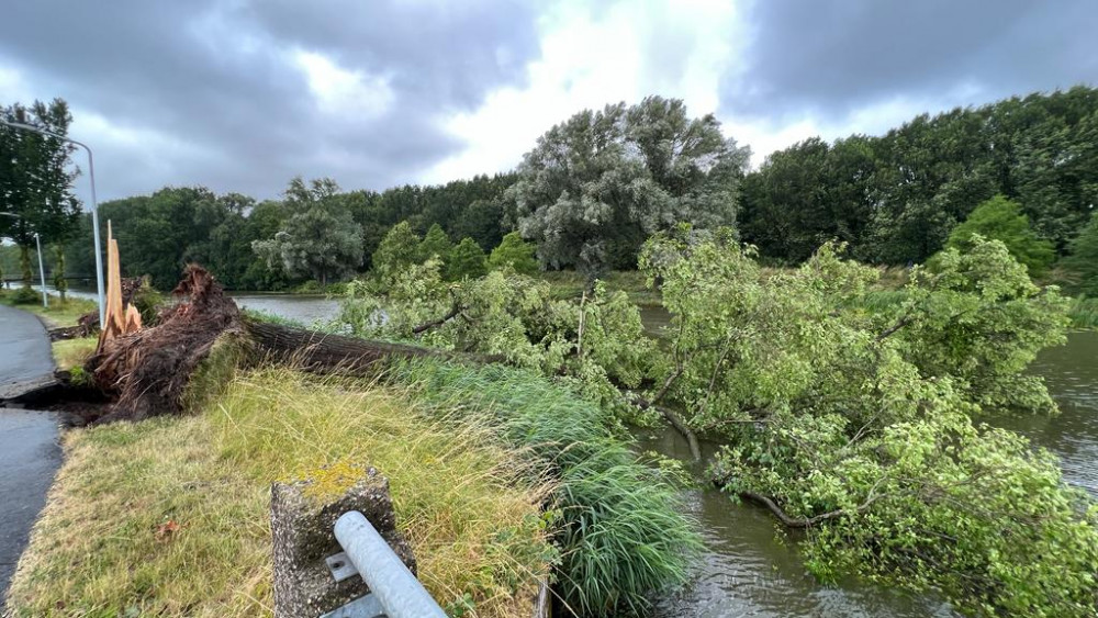 Omgewaaide bomen West-Friesland