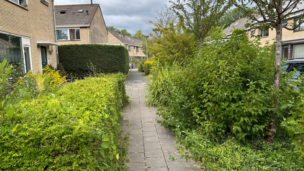 De dag na de steekpartij in Enkhuizen